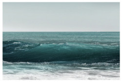 Surf's Up, White Border