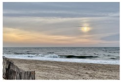 Beach Lane