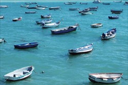 Blue Boats