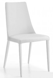 Aloe Dining Chair