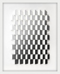 Illusion in Monochrome