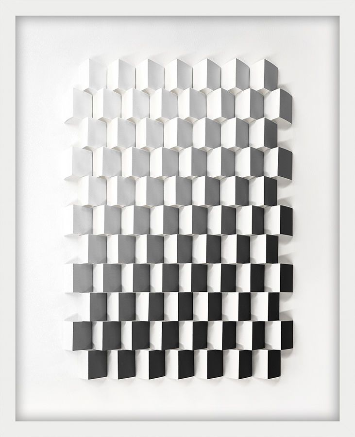 Illusion in Monochrome