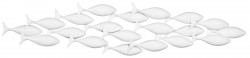 School of Fish