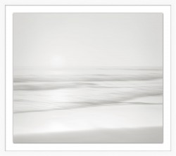 Bleached Seas